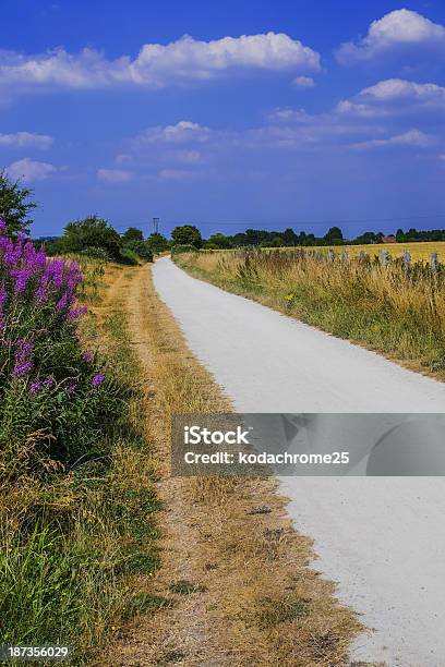 Road Stock Photo - Download Image Now - Agricultural Field, Agriculture, Asphalt