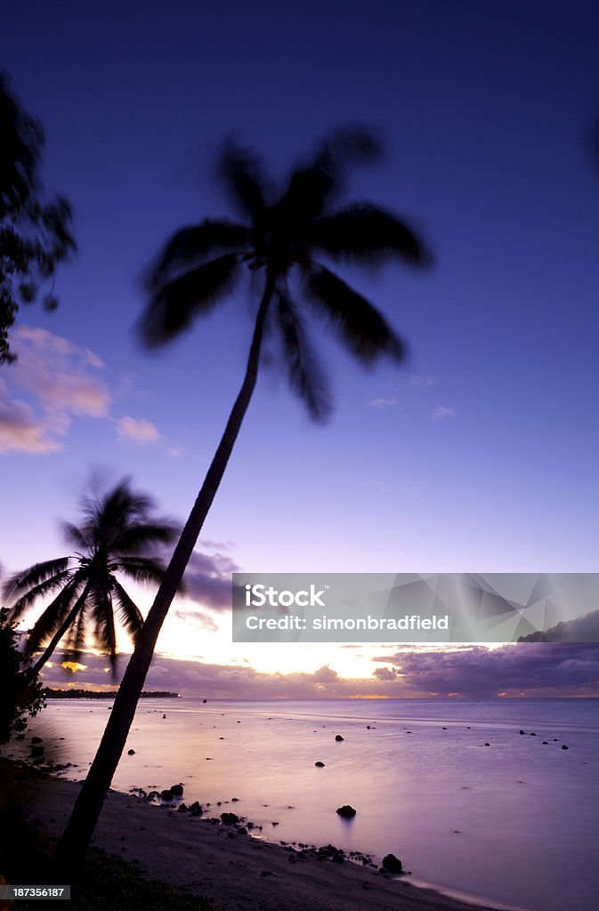 南太平洋の夕日 - Horizonのロイヤリティフリーストックフォト