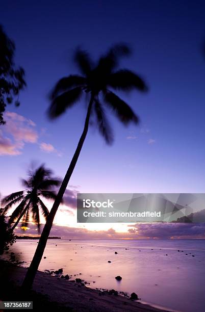 南太平洋の夕日 - Horizonのストックフォトや画像を多数ご用意 - Horizon, クック諸島, シルエット