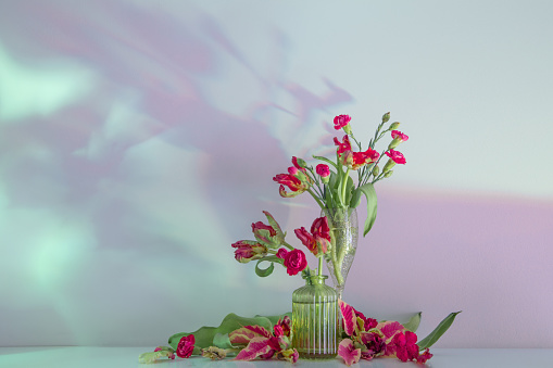 red flowers in glass vases on background light wall
