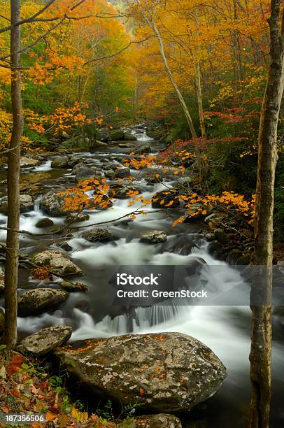 Piccolo Fiume Di Piccione In Autunno Di Tremont Great Smoky Mountains - Fotografie stock e altre immagini di Acqua