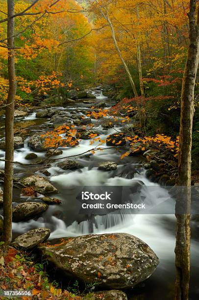 Mały Gołąb Rzeka W Jesień W Tremont Great Smoky Mountains - zdjęcia stockowe i więcej obrazów Appalachy