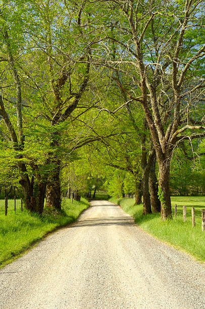 istock Sparks Lane in the Great Smoky Mountains 187356521