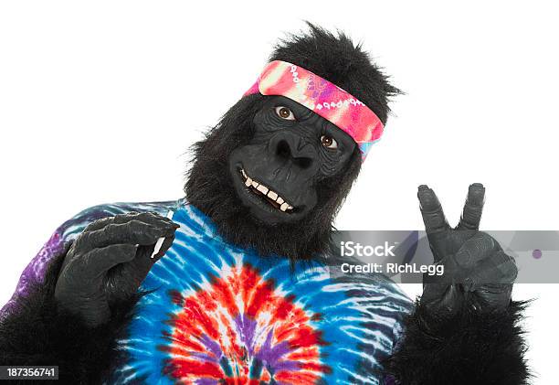 Gorilla Hippie Stock Photo - Download Image Now - Smoking - Activity, Ape, Marijuana Joint