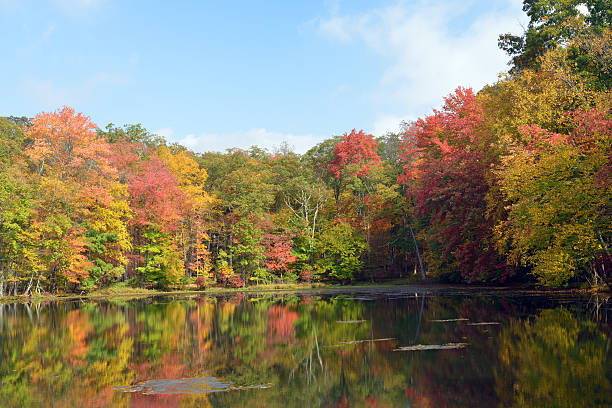 istock Fall Colors at Lake in Pocono Pennsylvania 187356779