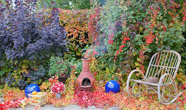 Garden in fall coloring Garden in fall coloring. parthenocissus stock pictures, royalty-free photos & images