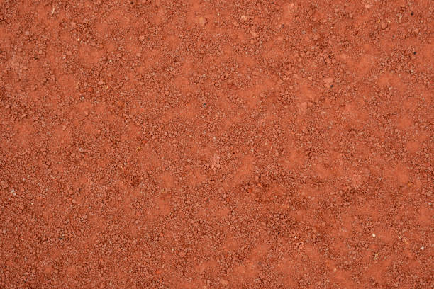 istock Closeup view of dry cracked soil 1873569600