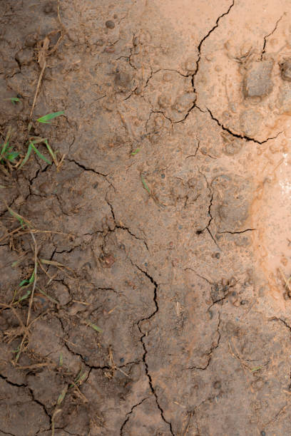 istock Closeup view of dry cracked soil 1873570195