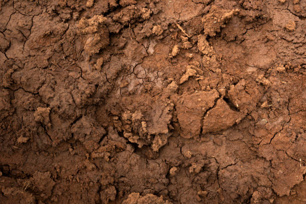 istock Closeup view of dry cracked soil 1873570742
