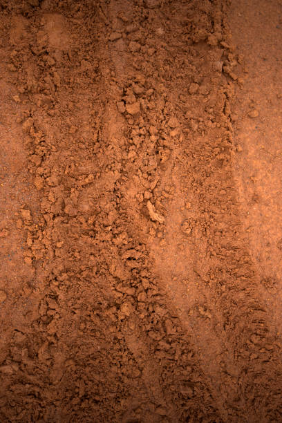istock Closeup view of dry cracked soil 1873570769