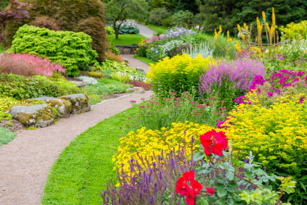 istock Footpath in a beautiful garden 187359253