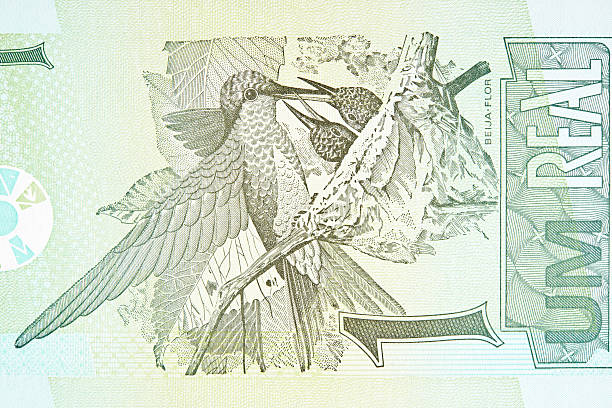 istock Hummingbird breasted blue on Banknote 187359510