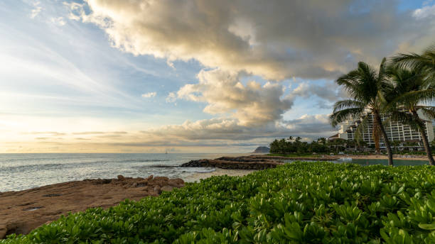 istock Waves Crashing on an Oahu Shore 1873596670