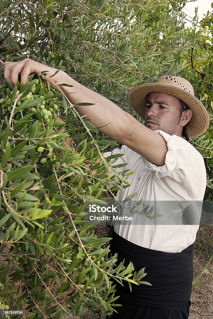 Homme Prenez l'olives - Photo de Couper libre de droits