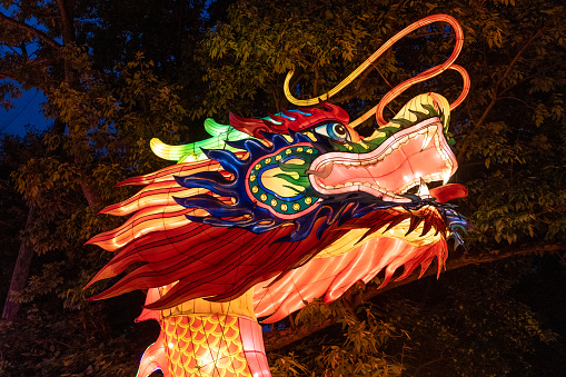 A roaring dragon photographed during the Chinese Lantern Festival at the Cleveland Metroparks Zoo