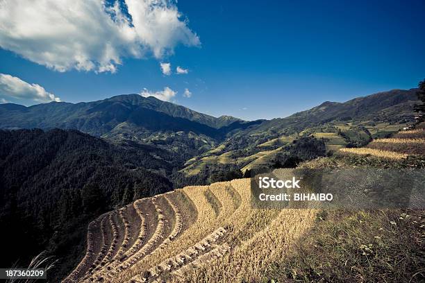 Longji Terraced Fields Stock Photo - Download Image Now - Agricultural Field, Agriculture, Asia