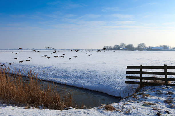 istock winter landscape in the Dutch countryside 187360426