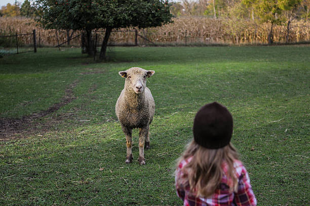 istock Girl and sheep 187360456