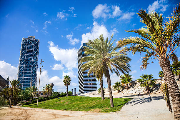 istock Skyscrapers in front of the beach 187362648