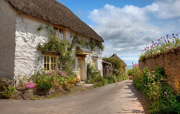 Thatched, white-washed cottage with pretty flowers, Devon, England.