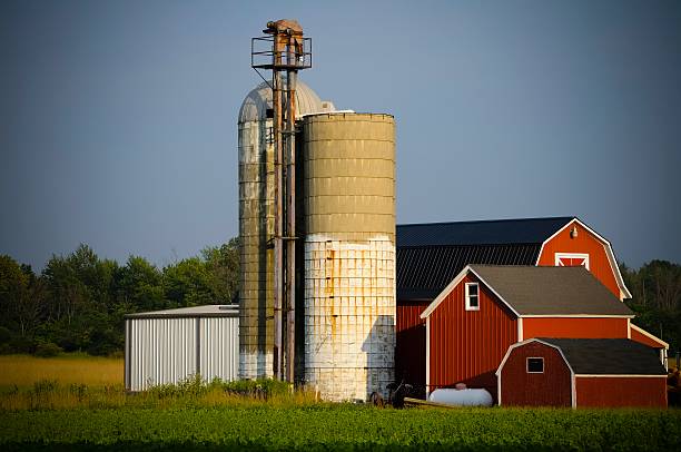 Traditional Farm A traditional midwestern American farm on a sunny day. michigan farmland stock pictures, royalty-free photos & images