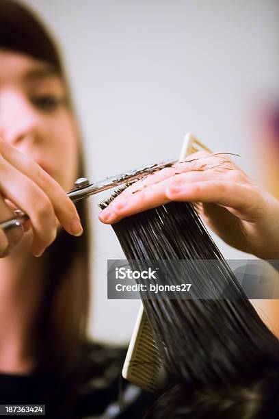 若い女性のヘアカット - 20代のストックフォトや画像を多数ご用意 - 20代, きちんとしている, はさみ