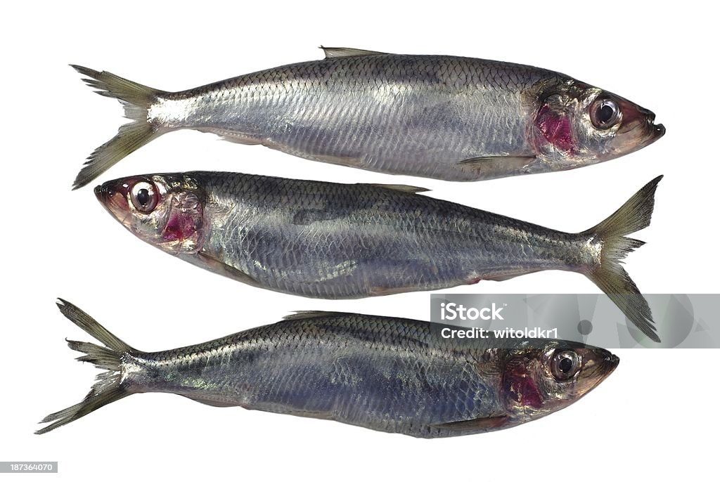 three fresh herrings three fresh herrings on white background Dieting Stock Photo