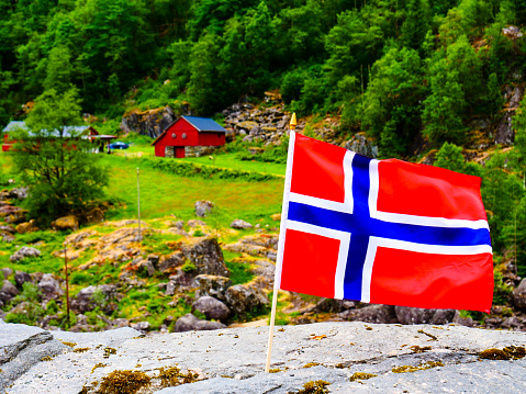 Norwegian flag waving outdoor on green nature