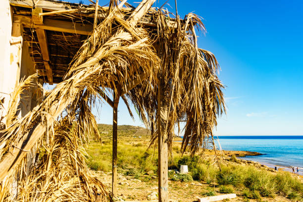 Mediterranean sea coast landscape, beach with shelter made of palm leaves, Murcia region, Calblanque Regional Park in Spain.