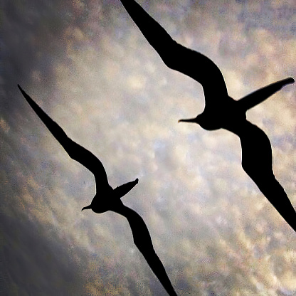 This photograph captures the silhouettes of two frigate birds in flight against a textured sky with a soft pastel-hued cloud background.