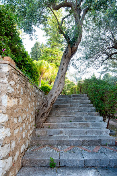 istock Taormina Public Gardens 1873724998