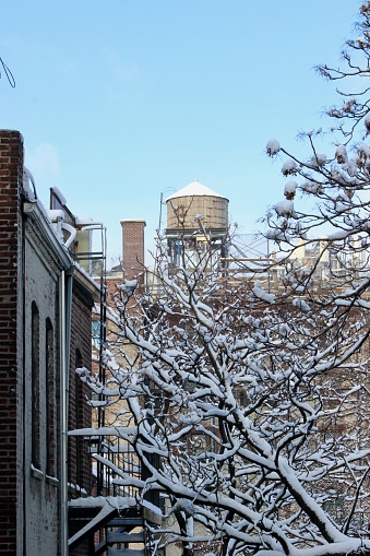 Looking through apartment window at tree branches and a water tower on a residential building covered in snow the day after a winter storm in New York City