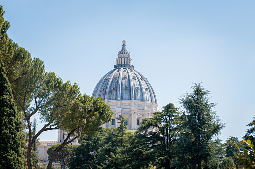 View of St Peter's Basilica Dome seen in the distance between trees in Rome, Italy.