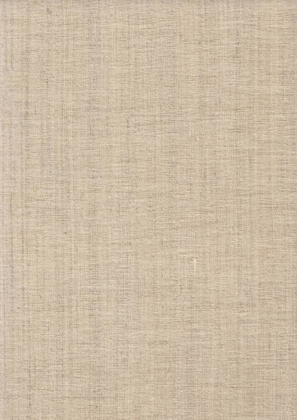 istock Artist's Unprimed Linen Canvas Grunge Texture 187375989