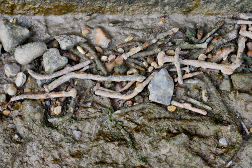 Rusty old nails from boats on Thames shoreline