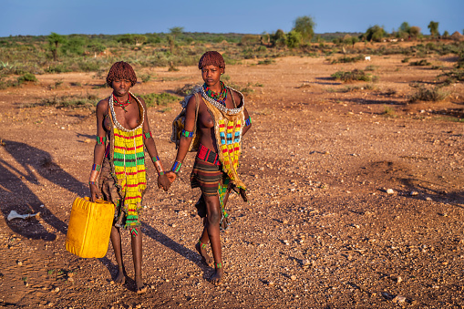 Two African young women from Hamer tribe carrying water to the village, African women and children often walk long distances to bring back jugs of water that they carry on their back.