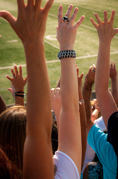 istock Fans with raised arms cheering for their team - VIII 187376780