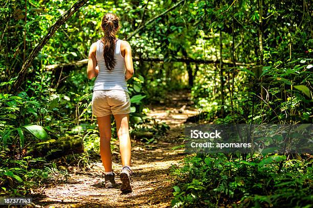 Young Woman Hiking On A Tropical Rainforest Trail Stock Photo - Download Image Now - Amazon Rainforest, Amazon Region, One Woman Only