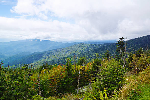istock Clingman's Dome Great Smoky Mountain National Park 187377481