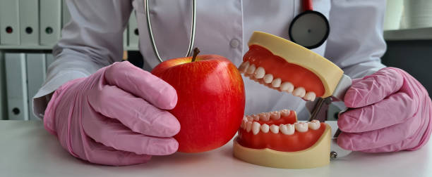 istock Dentist doctor holds artificial jaw and apple closeup 1873776445