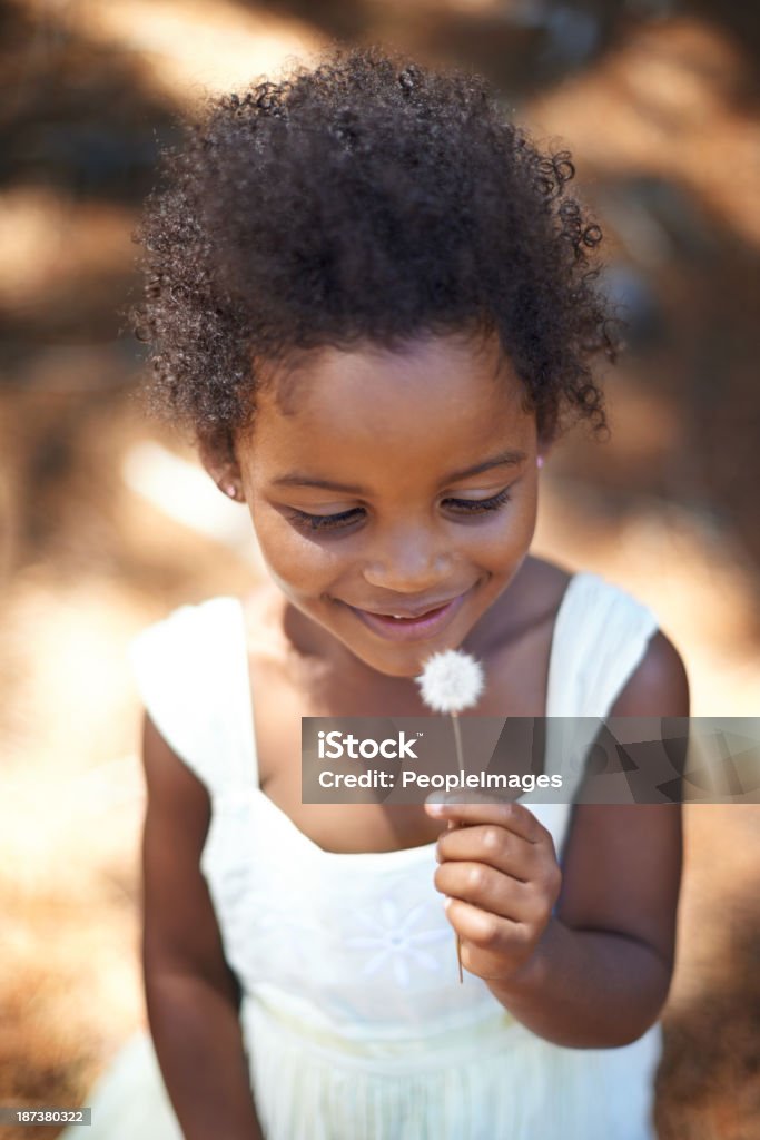 Fascinated by nature A cute little african girl looking at a dandelion and smiling Dandelion Stock Photo