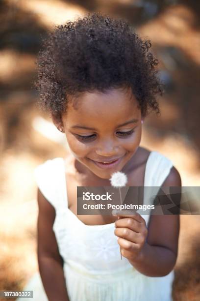 Fascinated By Nature Stock Photo - Download Image Now - Dandelion, Girls, African-American Ethnicity