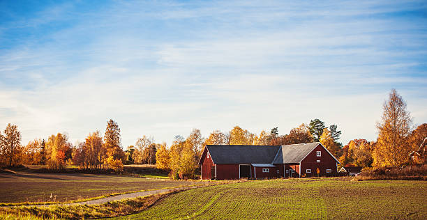 istock Rural scene in Sweden 187380667