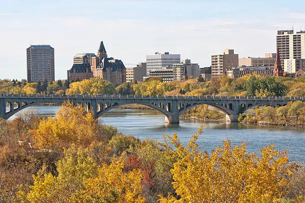 Saskatoon skyline in fall. High rise apartments visible on the far side of the South Saskatchewan River.  University Bridge visible in front of buildings.  Autumn colors visible in the foreground.