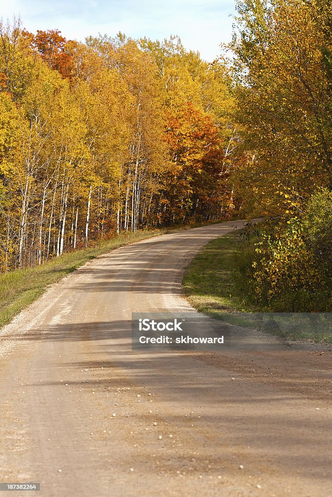 Route de campagne d'automne - Photo de Arbre libre de droits