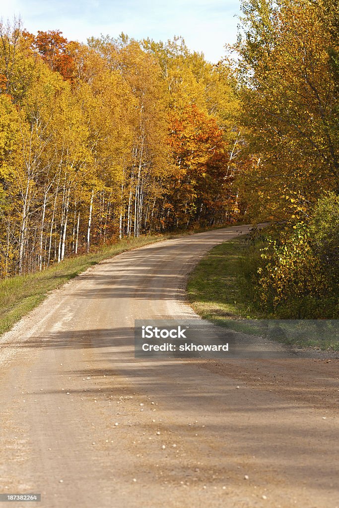 Country Road no outono - Foto de stock de Arborizado royalty-free