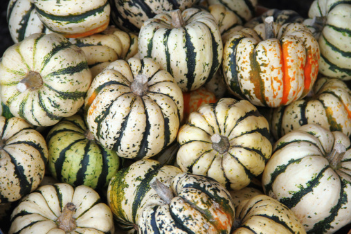 Crate full of colorful Sweet Dumpling Squash for sale at the farmer's market