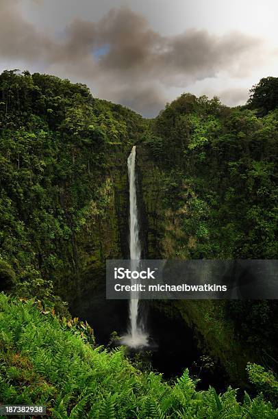 Akaka Falls Stock Photo - Download Image Now - 'Akaka Falls, 'Akaka Falls State Park, Big Island - Hawaii Islands