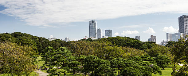 istock Tokyo Green Skyline 187382982