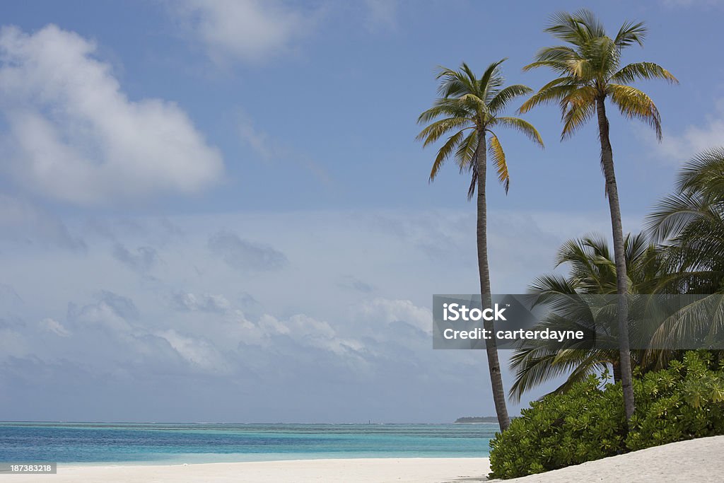 Weiße Sandstrände, Palmen auf den Malediven - Lizenzfrei Aquamarin - Edelstein Stock-Foto